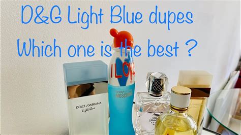 dolce and gabbana light blue summer vibes dupe|d&g light blue notes.